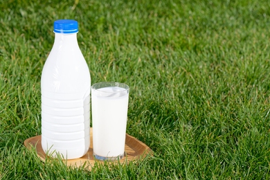 Tuti megoldás a bio növényvédelemre: A tejes permetezés