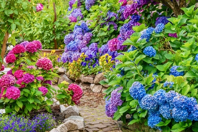 A virágoskerted mindig gyönyörű lesz, ha ezeket az egyszerű módszereket alkalmazod