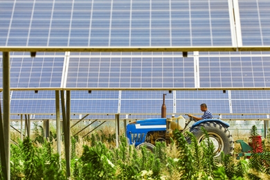 Megújuló energia a mezőgazdaságban: Melyik megoldás éri meg a legjobban?