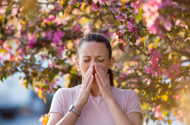 Letölthető pollen naptár mindenkinek