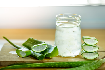 aloe vera ital