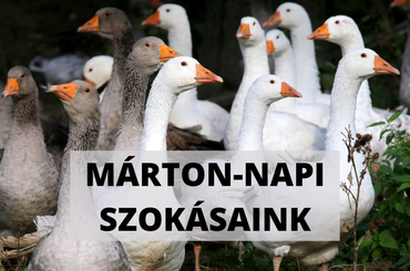 Ezek a Márton-napi szokások és ezt ünnepeljük ma