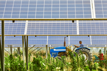 megújuló energia a mezőgazdaságban