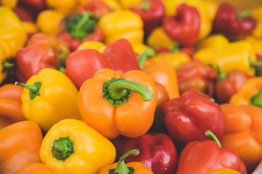 Minden, amit tudni illik az étkezési paprika termesztéséről