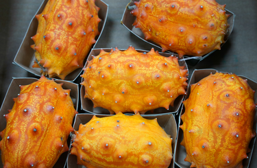 Szupernövényünk – A kiwano